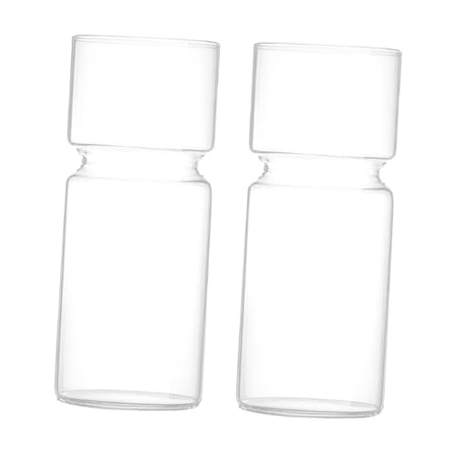 FLCPJGV 2X Landschaft Glas Flasche Terrarium Container Blume Vase von FLCPJGV