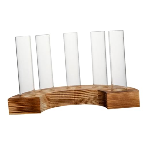 FLCPJGV Glas Reagenzglas Vasen Pflanzer Terrarium Dekor Hause Pflanzenvermehrung FLCPJGV Glas Reagenzglas Vasen Pflanzer Terrarium Dekor Hause Pflanzenvermehrung von FLCPJGV