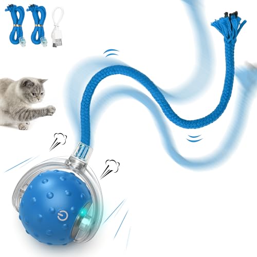 FLERDMAU Katzenspielzeugball Für Katzen Im Innenbereich | Interaktives Automatisches Katzenballspielzeug | Schnelles Rollen - Bewegungsaktiviertes Zwitschern | Versteckspiel, Mäusefangspiel FLERDMAU Katzenspielzeugball Für Katzen Im Innenbereich | Interaktives Automatisches Katzenballspielzeug | Schnelles Rollen - Bewegungsaktiviertes Zwitschern | Versteckspiel, Mäusefangspiel von FLERDMAU