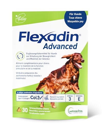 Flexadin Advanced für Hunde | 30 Chews | Ergänzungsfuttermittel zur Unterstützung der Gelenkgesundheit | Mit immunaktivem Kollagen, Omega-3 & Vitamin E | Einfache Verabreichung von FLEXADIN ADVANCED