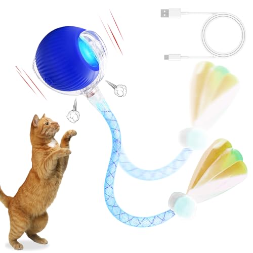 FLITI Katzenspielzeug, interaktiv, wiederaufladbar, elektrisches Spielzeug mit intelligentem Ball, drei verstellbare Modi, mit einem elastischen Netzschwanz, automatisches Spielzeug für den FLITI Katzenspielzeug, interaktiv, wiederaufladbar, elektrisches Spielzeug mit intelligentem Ball, drei verstellbare Modi, mit einem elastischen Netzschwanz, automatisches Spielzeug für den von FLITI