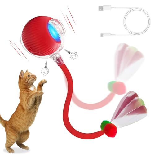 Interaktives Katzenspielzeug, motorisierter Ball, wiederaufladbar, 360 ° bewegliches Spielzeug für den Innenbereich, mit einem elastischen Netzschwanz – 3 Betriebsmodi für kleine und mittelgroße Hunde Interaktives Katzenspielzeug, motorisierter Ball, wiederaufladbar, 360 ° bewegliches Spielzeug für den Innenbereich, mit einem elastischen Netzschwanz – 3 Betriebsmodi für kleine und mittelgroße Hunde von FLITI