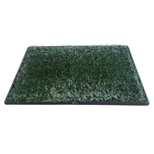 Hundetoilette mit Kunstrasen – Hygienische und praktische Lösung für Innen & Außen - Töpfchentraining Hund - Welpen Pads - Trainingspads - Hunde WC Hundetoilette mit Kunstrasen – Hygienische und praktische Lösung für Innen & Außen - Töpfchentraining Hund - Welpen Pads - Trainingspads - Hunde WC von FLOKOO