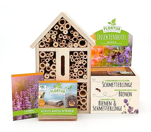FLORTUS Insektenhotel Lavendel für Bienen & Schmetterlinge | Naturbelasses Insektenhotel groß für Garten & Balkon | Schmetterlingshaus mit Lavendel Pflanze FLORTUS Insektenhotel Lavendel für Bienen & Schmetterlinge | Naturbelasses Insektenhotel groß für Garten & Balkon | Schmetterlingshaus mit Lavendel Pflanze von FLORTUS Freude an Vielfalt