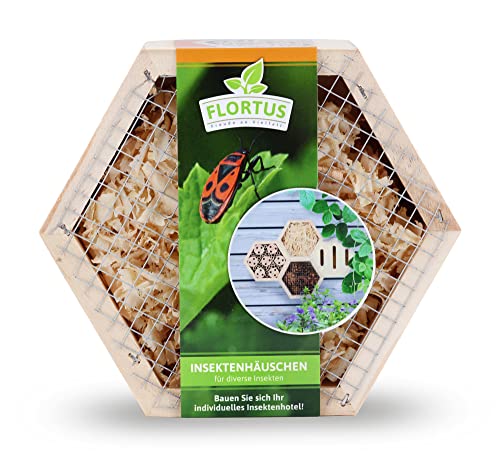 FLORTUS Insektenhotel für Marienkäfer, Wildbienen und Ohrwürmer | Insektenhaus 15 x 13 x 6 cm | Insektenhotels für den Garten | Insektenhotels für den Garten, Balkon und Terrasse von FLORTUS Freude an Vielfalt