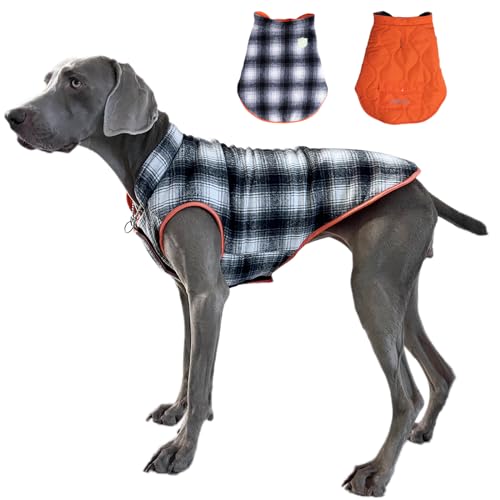 Flying Tail Hunde-Wintermantel mit Wärmespeicherung, wendbar, wasserdicht, mit reflektierendem Logo, leuchtet im Dunkeln, Etikett und Loch für die Leine, Größe 2 XS – 5XL (groß, schwarz und orange) von FLYING TAIL