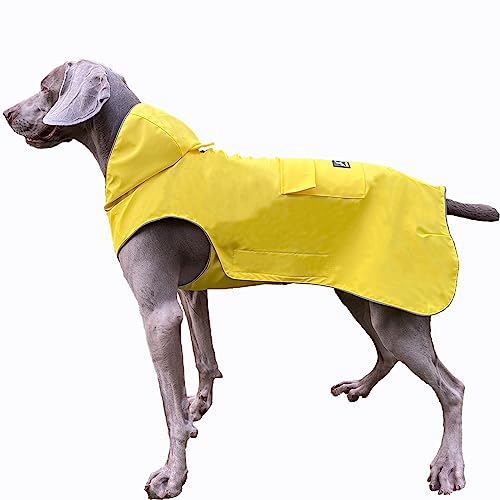 Nicht steifer Hunde-Regenmantel, reflektierend, verstellbar, leicht zu tragen, von 2 XS bis 5 XL, weiche Haptik-Beschichtung, Regenmantel für Outwear, Sport mit Leinenloch (Größe M) von FLYING TAIL