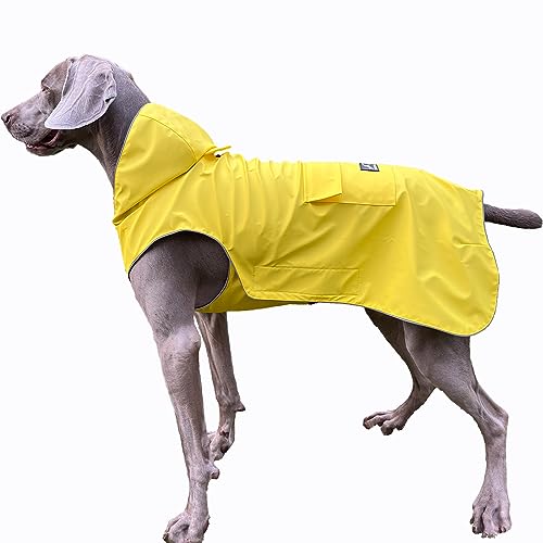 Hunde-Regenmantel, reflektierend, verstellbar, leicht zu tragen, von 2 bis 5XL, weiche Haptik, Beschichtung, Regenmantel für Oberbekleidung, Sport, mit Loch für die Leine (Größe XS) von FLYING TAIL
