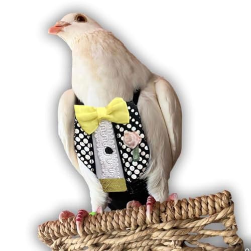 Bev's Birds Boutique Regular Flyper Vogelwindel (9,5, Retro-Smok) von FLYPER
