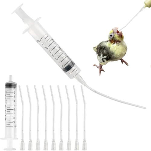 12 Stück Jungvögel Füttern Schlauch, Enthält eine 2 Stück 10-ml-Spritze mit Schlauch, Tauben Zubehör, Feeder Futter, Handfütterungswerkzeug für Baby Vögel und Papageien, Milch, Wasser, Medikamente von FLYSAVVY