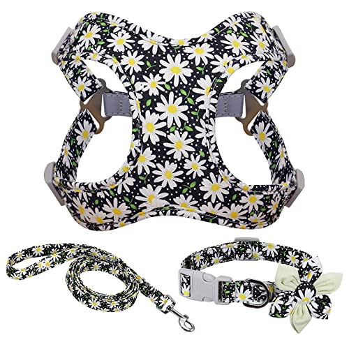 Blume Gedruckte Hundehalsband Harness Leine Set, Nylon Kleine Mittlere Große Hunde Harness Weste Halsband Leinen Für Chihuahua Welpen Haustier (Color : Black, Size : L) von FNSK