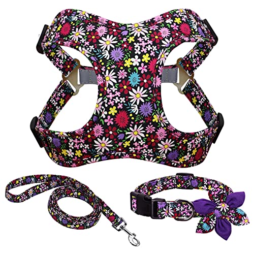 Blume Gedruckte Hundehalsband Harness Leine Set, Nylon Kleine Mittlere Große Hunde Harness Weste Halsband Leinen Für Chihuahua Welpen Haustier (Color : Purple, Size : L) von FNSK