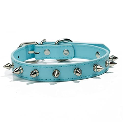 Buntes Katzen-Hunde-Haustierhalsband, PU-Leder-Halsbänder mit Nieten for kleine mittelgroße Hunde Katzen Anti-Biss-Welpen-Haustierprodukte Halsband (Color : Sky Blue, Size : S) von FNSK