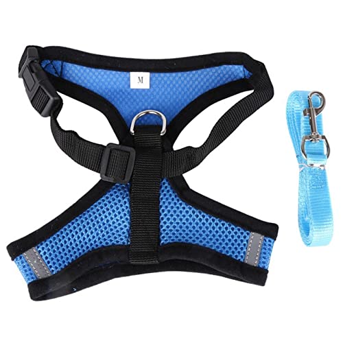 Haustier Brustgurt Glänzender Strass Herz Design Weste Harnesses Hundehalsband Kleiner Hund Welpe Katze Leder Leine Haustier Zubehör (Color : Blue, Size : L) von FNSK