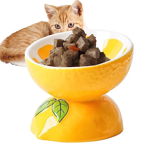 Erhöhter Katzennapf aus Keramik – Einzelner Katzennapf | Obst-Design, erhöhter Katzenfutternapf, Haustierbedarf, stressfrei, Rückflussverhinderung, geräuscharm, ergonomisch, rutschfest, schmutzfrei von FOCCAR