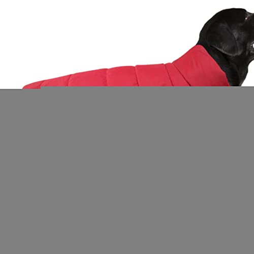 Hund Wintermantel | Hundekleidung Winter Warme Haustier Hundejacke Mantel - Stilvoller Winter Gepolsterter Hundemantel, Haustier Herbst und Winter Kleidung für Kleine Mittlere Große Hunde, M/L/XL von FOCCAR