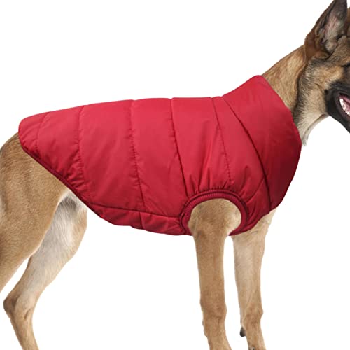 Hunde-Wintermantel, Fleece-gefütterter Welpenmantel – Schneekleidung für kleine Hunde und mittelgroße Hunde, Knopfverschluss-Design, M/L/XL von FOCCAR