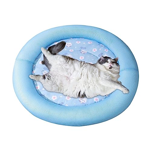 Katzenkissen | Hundematte Kissen für Hundehütte | Rutschfestes, atmungsaktives Kissen Bett Kiste Hundebett Matte, tragbare Katzenschlafmatte Hundematratze für kleine, mittelgroße Haustiere Foccar Katzenkissen | Hundematte Kissen für Hundehütte | Rutschfestes, atmungsaktives Kissen Bett Kiste Hundebett Matte, tragbare Katzenschlafmatte Hundematratze für kleine, mittelgroße Haustiere Foccar von FOCCAR