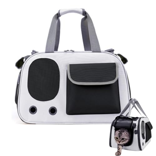 FOGARI Transporttasche für Katze Hund - Hundebox Faltbar, Transportbox Katze, Hunde und Katzen Auto Haustiertransportbox, Mit Multi -Funktionstasche, für Kleingroße Hunde, Katze, 45 * 26 * 28 cm FOGARI Transporttasche für Katze Hund - Hundebox Faltbar, Transportbox Katze, Hunde und Katzen Auto Haustiertransportbox, Mit Multi -Funktionstasche, für Kleingroße Hunde, Katze, 45 * 26 * 28 cm von FOGARI