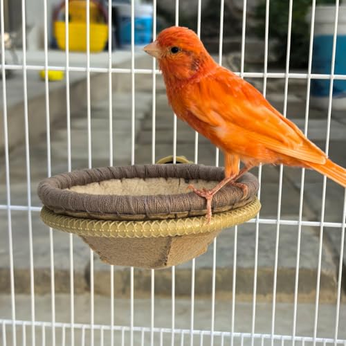 FOIBURELY Filznest für Kanarienfinken Papageien mit einem Ersatz (11,4 cm) von FOIBURELY