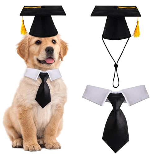 FOIMAS Abschlusshüte für Hunde, Haustier-Abschlusskappen, verstellbar, mit gelber Quaste und Krawatte, Halsband für Hunde und Katzen, Abschlusshut, Kostümzubehör FOIMAS Abschlusshüte für Hunde, Haustier-Abschlusskappen, verstellbar, mit gelber Quaste und Krawatte, Halsband für Hunde und Katzen, Abschlusshut, Kostümzubehör von FOIMAS