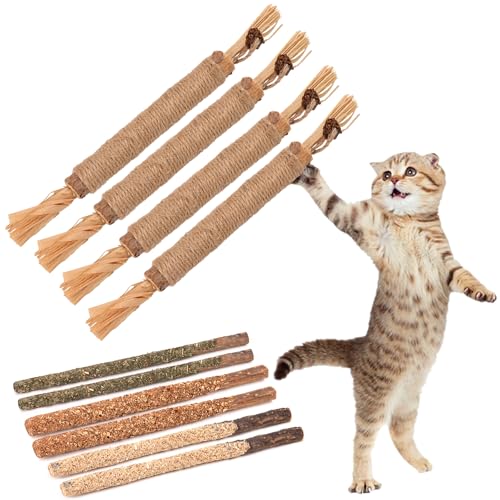 FOIMAS Silvervine Sticks Katzenspielzeug, 10 Stück, Katzenminze, Kauspielzeug, interaktives Katzenspielzeug für Katze, Kätzchen, Zahnreinigung, Leckerli-Spielzeug für drinnen und draußen FOIMAS Silvervine Sticks Katzenspielzeug, 10 Stück, Katzenminze, Kauspielzeug, interaktives Katzenspielzeug für Katze, Kätzchen, Zahnreinigung, Leckerli-Spielzeug für drinnen und draußen von FOIMAS
