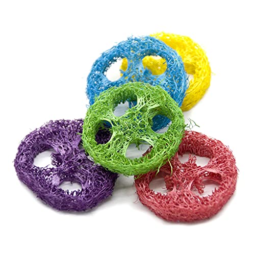 20pcs Hamster Kaut Spielzeug Zähne Mahlen Natürliches Loofah Spielzeug Für Kleine Tierische Hamster Chinchilla Kaninchen Zufällige Farbe 20pcs Hamster Kaut Spielzeug Zähne Mahlen Natürliches Loofah Spielzeug Für Kleine Tierische Hamster Chinchilla Kaninchen Zufällige Farbe von FOLODA