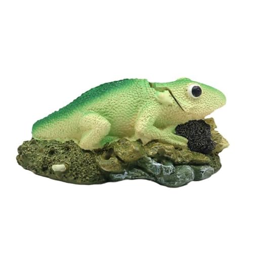 Exquisites Reptilien Aquarien Große Aquarien Heimbüro Hoteldekoration Für Die Dekoration Und Sauerstoffversorgung Von Aquarien Exquisites Reptilien Aquarien Große Aquarien Heimbüro Hoteldekoration Für Die Dekoration Und Sauerstoffversorgung Von Aquarien von FOLODA