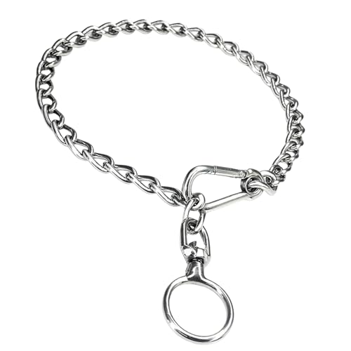 FOLODA Hundehalsband Aus Metall Für Große Hunde Schwere Kette Hundehalsband Aus Metall Für Training Verstellbares Gehen Verstellbares Halsband FOLODA Hundehalsband Aus Metall Für Große Hunde Schwere Kette Hundehalsband Aus Metall Für Training Verstellbares Gehen Verstellbares Halsband von FOLODA