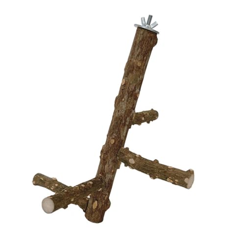 FOLODA Papageiensitzstangen Stehen Rotierendes Vogelspielspielzeug Vogelkäfig Unterhaltungsspielzeug Für Vogelspiel Und Übung FOLODA Papageiensitzstangen Stehen Rotierendes Vogelspielspielzeug Vogelkäfig Unterhaltungsspielzeug Für Vogelspiel Und Übung von FOLODA