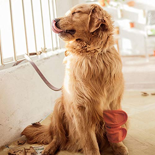 FOLOSAFENAR Ellenbogenschutz für Hunde, Lecken und Infektionen vermeiden, Haustier-Wiederherstellungszubehör, das bei kaltem Wetter warm bleibt,(orange, M) von FOLOSAFENAR