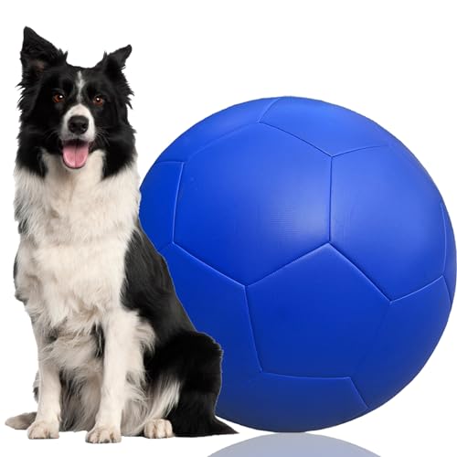 FOMAOGO Herding Ball für Hunde, 50,8 cm, Collie-Ball für Blue Heelers, australischer Schäfer-Rinder, großes Hundespielzeug, Geschenke von FOMAOGO