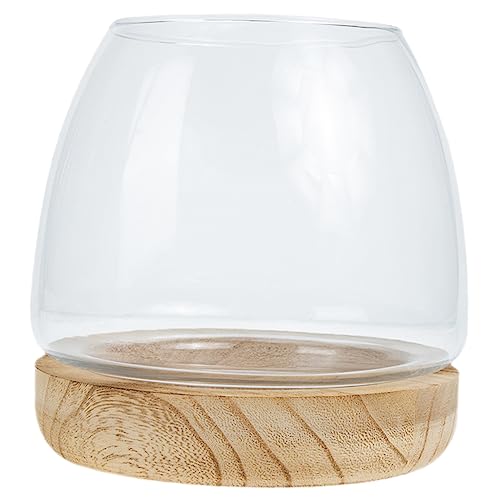 FOMIYES Einzigartiges Hydrokultur-Pflanzen-Terrarium Aus Glas Aquarium-schüssel Pflanzgefäß Aus Dekorativem Glas für Das Home Office FOMIYES Einzigartiges Hydrokultur-Pflanzen-Terrarium Aus Glas Aquarium-schüssel Pflanzgefäß Aus Dekorativem Glas für Das Home Office von FOMIYES
