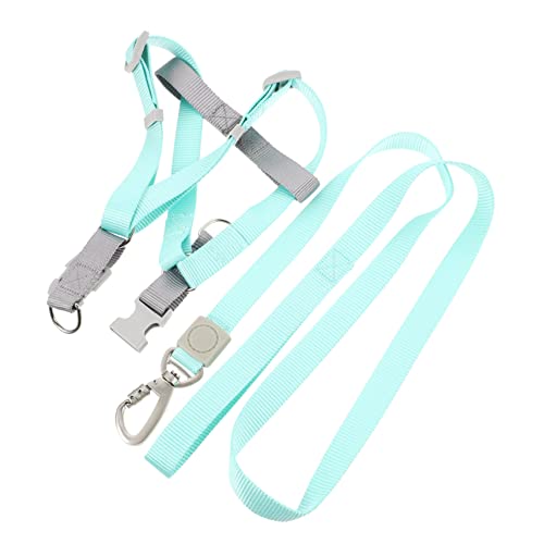 FOMIYES 1 Satz Verstellbares Hundegeschirr Trainingsgeschirr Für Hunde Katzengeschirr Weich Gepolsterte Weste Haustiergeschirr Haustierweste Kontrollieren Der Hund Polyester Erstickung FOMIYES 1 Satz Verstellbares Hundegeschirr Trainingsgeschirr Für Hunde Katzengeschirr Weich Gepolsterte Weste Haustiergeschirr Haustierweste Kontrollieren Der Hund Polyester Erstickung von FOMIYES