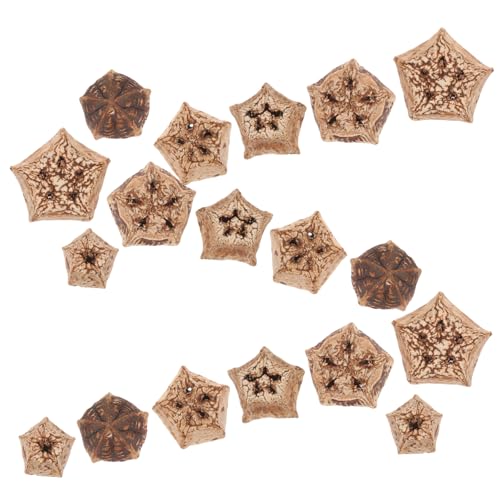 FOMIYES 12st Papagei Kaut Obst Papageienspielzeug Zum Kauen Vogelspielzeug Kauspielzeug Für Futterspielzeug Für Papageien Walnüsse Spielzeuge Papageienkäfig Getrocknete Früchte Vögel FOMIYES 12st Papagei Kaut Obst Papageienspielzeug Zum Kauen Vogelspielzeug Kauspielzeug Für Futterspielzeug Für Papageien Walnüsse Spielzeuge Papageienkäfig Getrocknete Früchte Vögel von FOMIYES