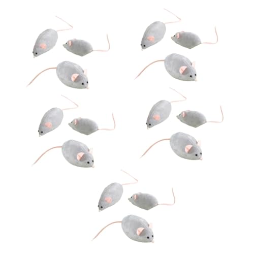 FOMIYES 15 STK Katze- -Spielzeug Katzenspielzeug Katzenminze Spielzeugmäuse Spielzeug Für Katzenratten Spielzeugkatze Kätzchen-mäuse-Spielzeug Hüte Für Katzen Pp Hauskatze Die Katze FOMIYES 15 STK Katze- -Spielzeug Katzenspielzeug Katzenminze Spielzeugmäuse Spielzeug Für Katzenratten Spielzeugkatze Kätzchen-mäuse-Spielzeug Hüte Für Katzen Pp Hauskatze Die Katze von FOMIYES