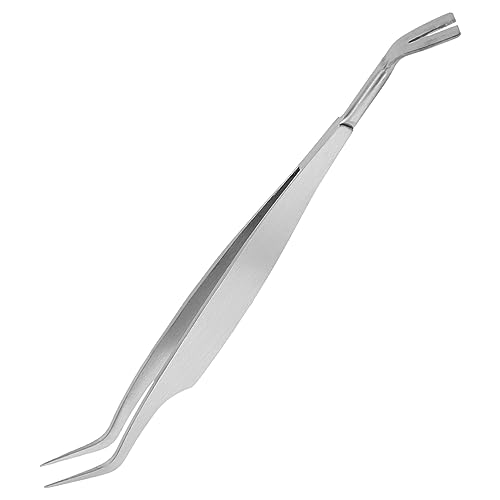 FOMIYES 1Stk Pinzette zeckenentferner für Menschen Haustierpflegewerkzeug zeckenentferner für Hunde Flohclip für Haustiere Heimtierbedarf Rostfreier Stahl Haustierzubehör FOMIYES 1Stk Pinzette zeckenentferner für Menschen Haustierpflegewerkzeug zeckenentferner für Hunde Flohclip für Haustiere Heimtierbedarf Rostfreier Stahl Haustierzubehör von FOMIYES