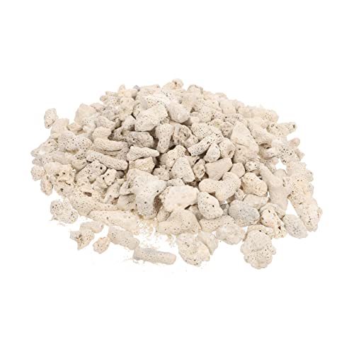 FOMIYES 2 Packungen Korallenstein Dekoration Aquarium Filtersteine Aquarium Landschaftszubehör Felsen Aquarium Stein Stein Naturfilter Haushalt Weißes Filtermaterial Aquarium FOMIYES 2 Packungen Korallenstein Dekoration Aquarium Filtersteine Aquarium Landschaftszubehör Felsen Aquarium Stein Stein Naturfilter Haushalt Weißes Filtermaterial Aquarium von FOMIYES
