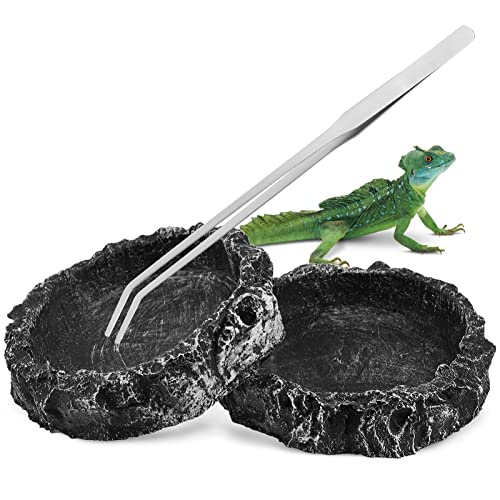 FOMIYES Reptilien-futternäpfe 2er-Set Futternapf Für Schildkröten Mit Futternapf Aus Kunstharz Für Eidechsen Geckos Chamäleons Für Terrarien von FOMIYES
