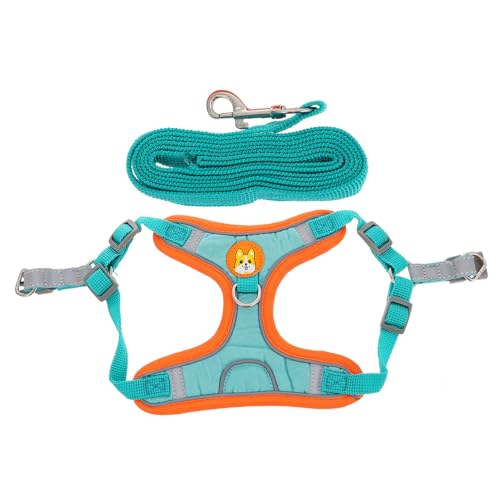FOMIYES 2 Sätze Transportbox für Haustiere Hundeleinen-Kit Gehgeschirr für Haustiere Hundehalsband Welpengeschirr Outdoor-Hundeversorgung Hundegeschirr Hündchen Gurt Hundebedarf Suite Tuch FOMIYES 2 Sätze Transportbox für Haustiere Hundeleinen-Kit Gehgeschirr für Haustiere Hundehalsband Welpengeschirr Outdoor-Hundeversorgung Hundegeschirr Hündchen Gurt Hundebedarf Suite Tuch von FOMIYES