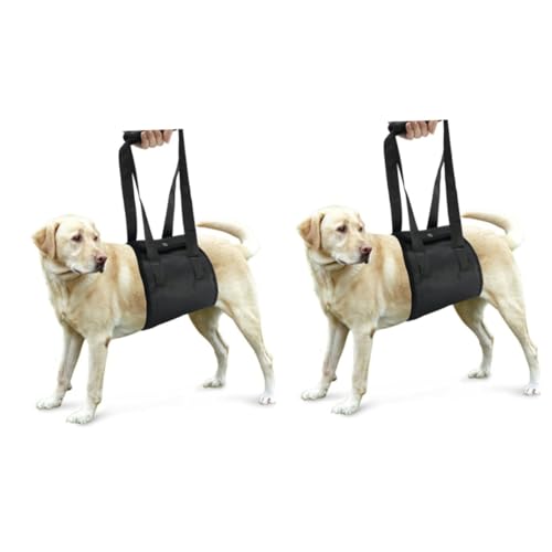 FOMIYES 2St Hund traktion Hundeleine große Hunde Hundeliftgeschirr Welpengeschirr Rehabilitationsgeschirr für Hunde Klettgurt für Hunde der Hund Hilfsgurt Großer Hund Leinen Zubehör FOMIYES 2St Hund traktion Hundeleine große Hunde Hundeliftgeschirr Welpengeschirr Rehabilitationsgeschirr für Hunde Klettgurt für Hunde der Hund Hilfsgurt Großer Hund Leinen Zubehör von FOMIYES