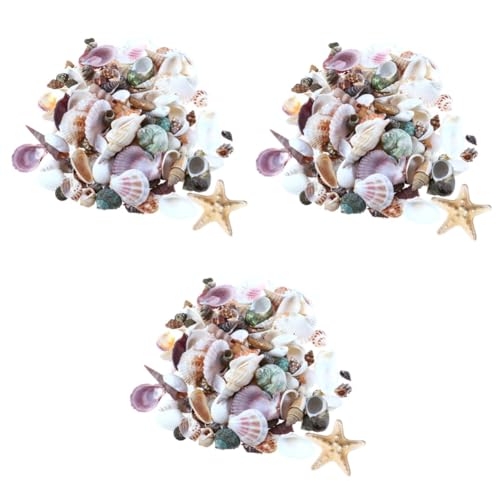 FOMIYES 3 Sätze Natürliche Seestern-muschelschale Aquarium-Ornament Strand-Themen-dekor Hawaiianische Dekorationen Minivasen Für Blumen Für Handwerk Mini-vase Perlen Hülse von FOMIYES