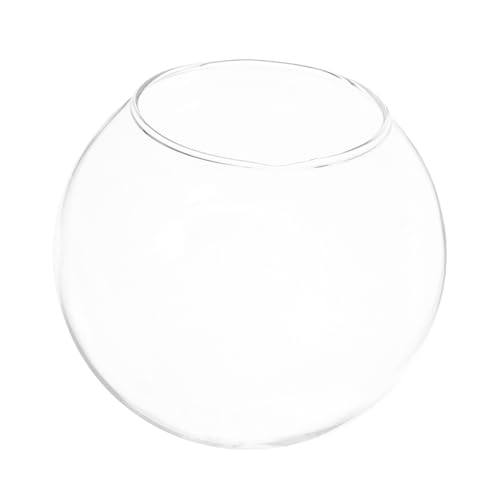FOMIYES 3stücke Hamster Kühlglas Nest Transparentes Glasnest Für Kleine Haustiere Für Hamster Meerschweinchen Und Kaninchen Sorgt Für Erholung Und von FOMIYES
