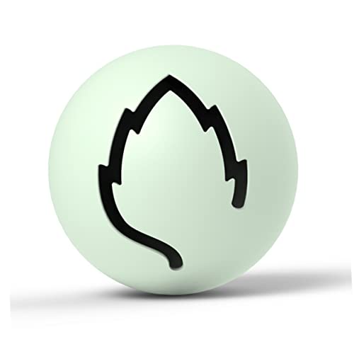 FOMIYES 3st Katze Glocke Spielzeug Katze Interactive Play Teasing Spielzeug Katzenglocke Kugel Tierspielzeug Sounds Ball Katze Glockenkugel Spielzeug Hühnerfutter Beissen Katzenspielzeug FOMIYES 3st Katze Glocke Spielzeug Katze Interactive Play Teasing Spielzeug Katzenglocke Kugel Tierspielzeug Sounds Ball Katze Glockenkugel Spielzeug Hühnerfutter Beissen Katzenspielzeug von FOMIYES