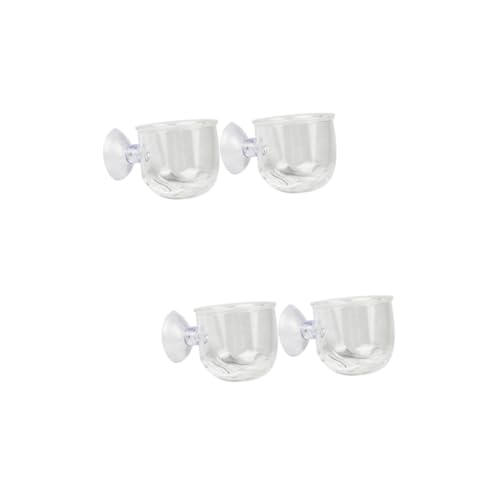 FOMIYES 4 Futtertasse Aquatic Supplie saugnapf Aquarium schneckenfalle Aquarium Pflanzen Garnelen Fütterbecher aus Fischfutter füttern Zubringer Aquatische Produkte FOMIYES 4 Futtertasse Aquatic Supplie saugnapf Aquarium schneckenfalle Aquarium Pflanzen Garnelen Fütterbecher aus Fischfutter füttern Zubringer Aquatische Produkte von FOMIYES
