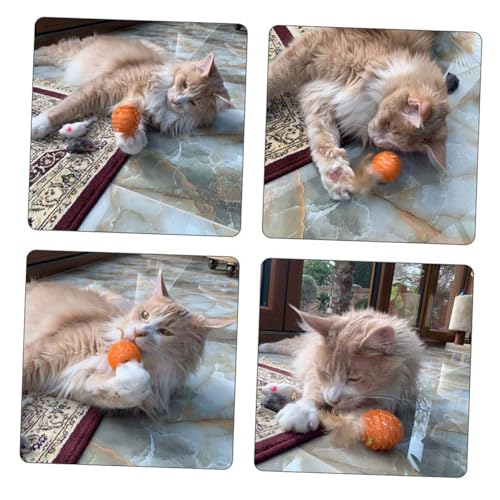 FOMIYES 4 Stück Haustier Katze Katzenspielzeug FOMIYES 4 Stück Haustier Katze Katzenspielzeug von FOMIYES