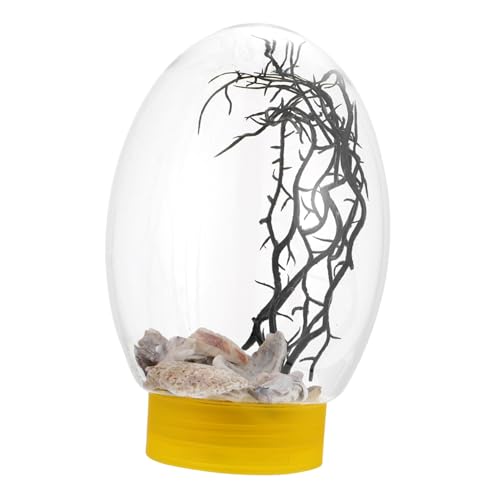 FOMIYES Aquarium Mit Erhöhtem Kein Wasserwechsel Erforderlich Tischaquarium Für Fische Und Pflanzen FOMIYES Aquarium Mit Erhöhtem Kein Wasserwechsel Erforderlich Tischaquarium Für Fische Und Pflanzen von FOMIYES