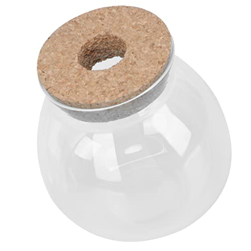 FOMIYES Glasterrarien für Pflanzen Aquarium Mini Aquarium Spotlight Pflanzenterrarien Container von FOMIYES