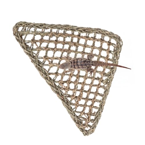 FOMIYES Hängematte für Reptilien Hängematte für Echsen Bartagame Hängematte Tierkäfig zum Aufhängen Eidechsen-Hängemattenbett Hängematte aus Grasfasern runden Haustierbett Hundehütte FOMIYES Hängematte für Reptilien Hängematte für Echsen Bartagame Hängematte Tierkäfig zum Aufhängen Eidechsen-Hängemattenbett Hängematte aus Grasfasern runden Haustierbett Hundehütte von FOMIYES