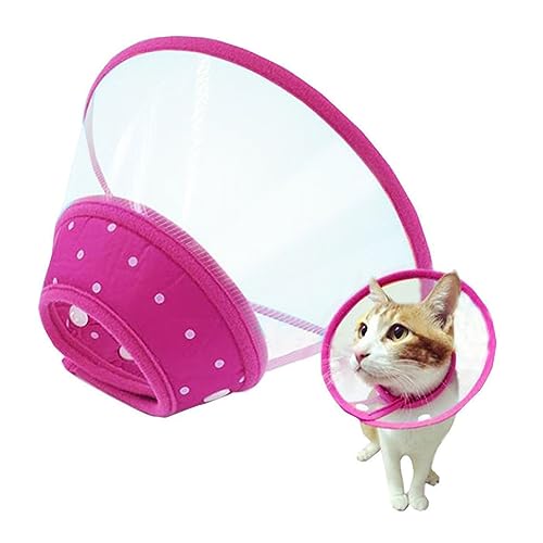 FOMIYES Katzenhalsband Leichtes Halsband Aus Kunststoff Kegelförmig Für Kätzchen Und Hunde Größe L Rosarot Haustierkegel Für Verletzungen Bisse Kratzer FOMIYES Katzenhalsband Leichtes Halsband Aus Kunststoff Kegelförmig Für Kätzchen Und Hunde Größe L Rosarot Haustierkegel Für Verletzungen Bisse Kratzer von FOMIYES
